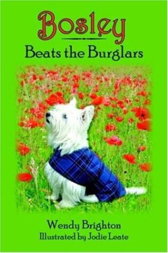 Bosley Beats the Burglars av Wendy Brighton (Paperback)