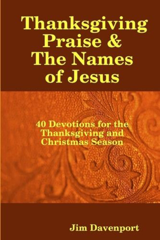 Thanksgiving Praise & The Names of Jesus av Jim Davenport (Paperback)