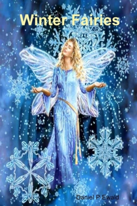 Winter Fairies av Daniel P Ewald (Paperback)