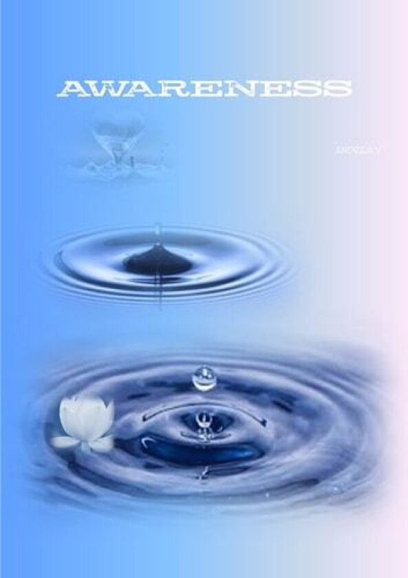 Awareness av Andrea Varini (Paperback)