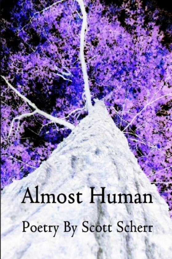 Almost Human av Scott Scherr (Paperback)