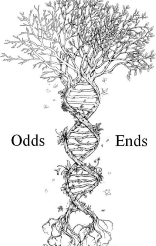 Odds and Ends av Maurissa Amezcua (Paperback)