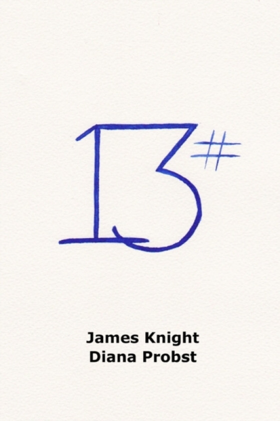 13 av James Knight, Diana Probst (Paperback)