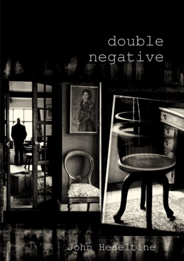 Double Negative av John Heseltine (Paperback)
