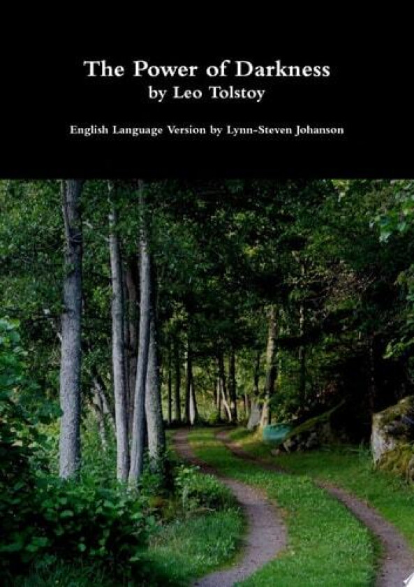 The Power of Darkness av Lynn-Steven Johanson (Paperback)