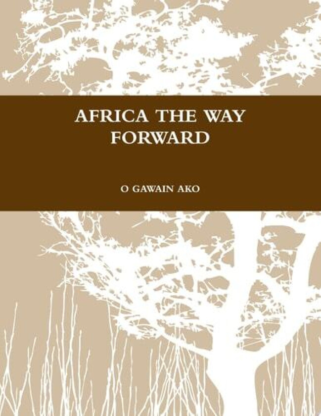 Africa the Way Forward av O Gawain Ako (Paperback)