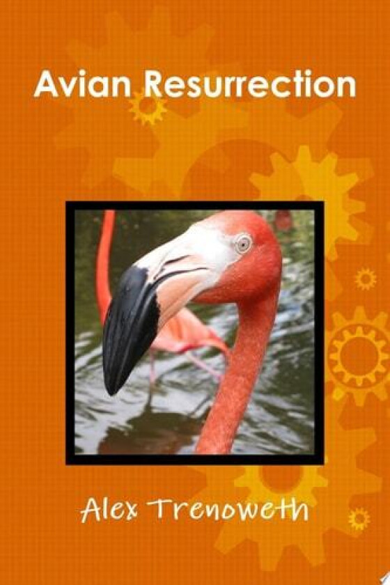 Avian Resurrection av Alex Trenoweth (Paperback)