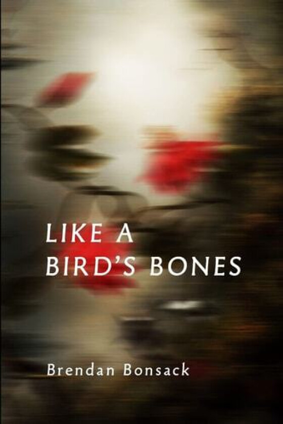 Like a Bird's Bones av Brendan Bonsack (Paperback)