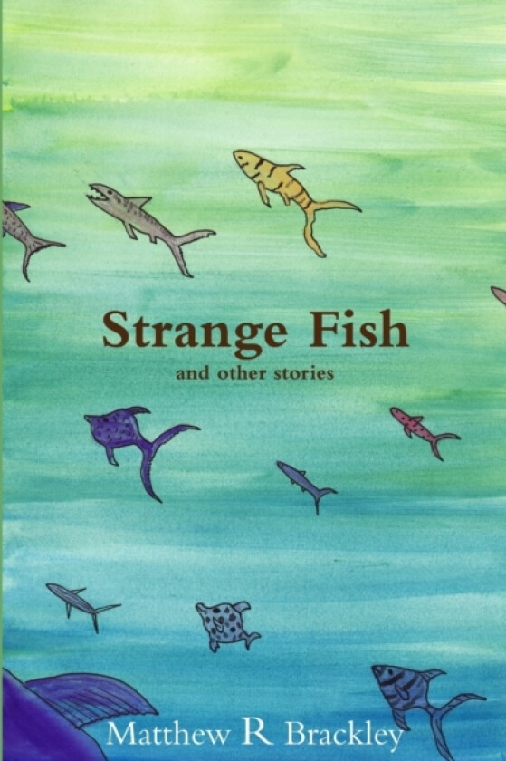 Strange Fish av Matthew R Brackley (Paperback)