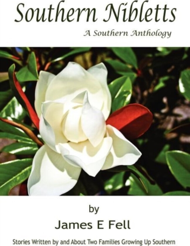 Southern Niblets av james fell (Paperback)