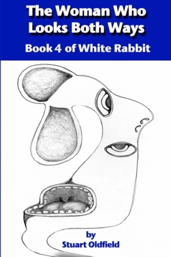 The Woman Who Looks Both Ways (Book 4 of White Rabbit) av Stuart Oldfield (Paperback)