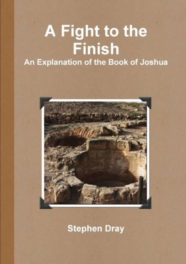 A Fight to the Finish av Stephen Dray (Paperback)