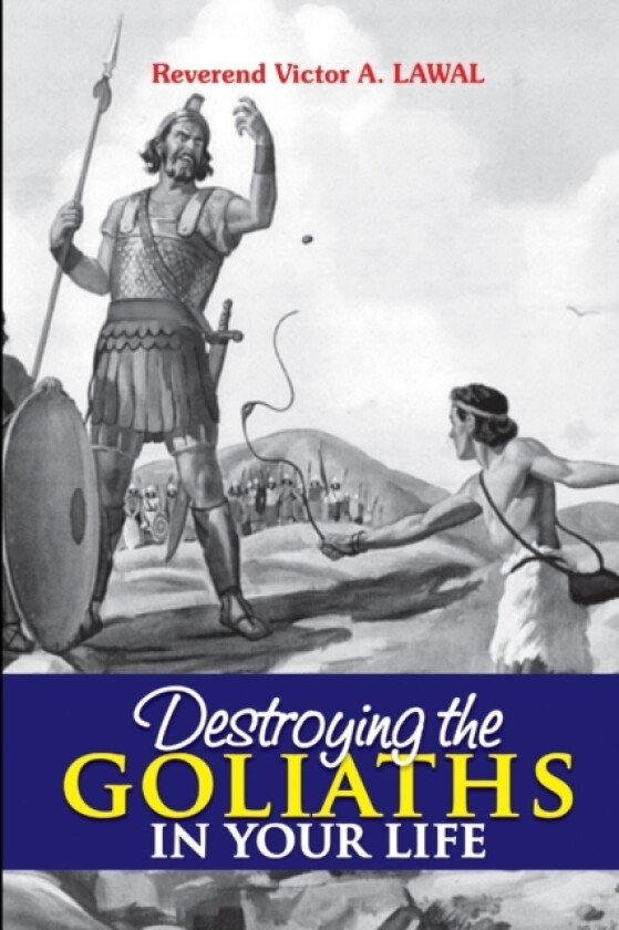 Destroying the Goliaths in Your Life av Victor A D Lawal (Paperback)