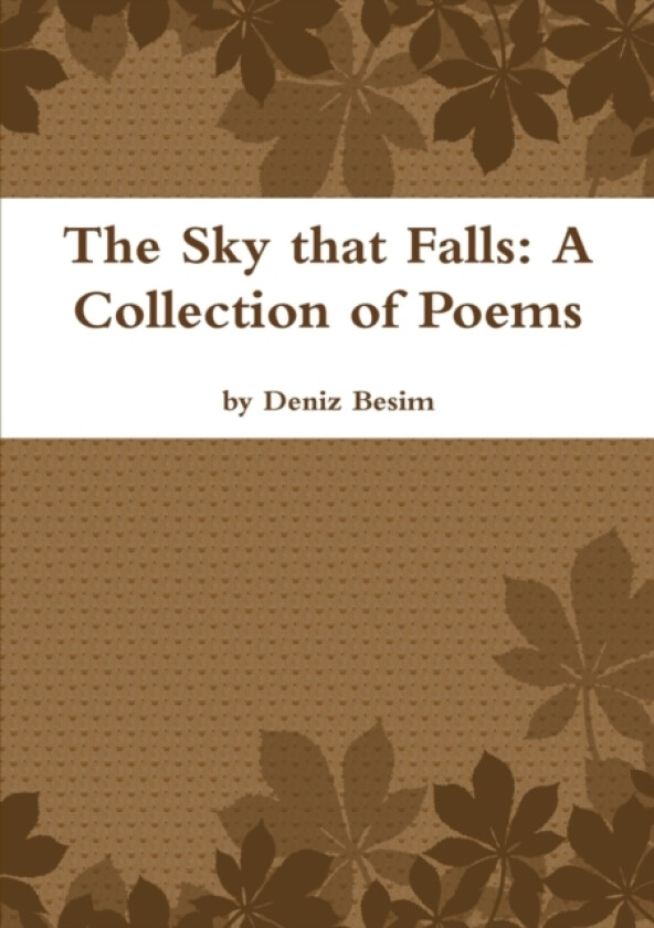 The Sky that Falls av Deniz Besim (Paperback)