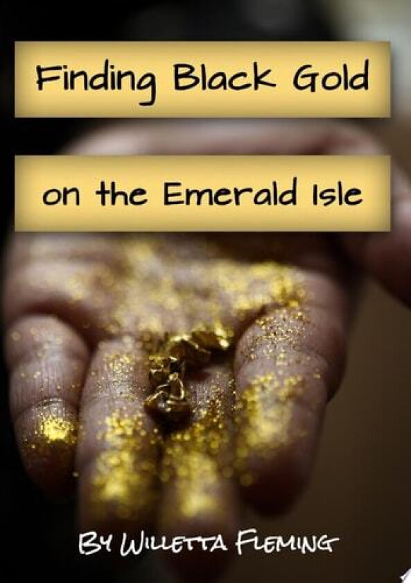 Finding Black Gold on the Emerald Isle av Willetta Fleming (Paperback)
