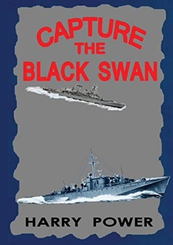 Capture the Black Swan av Harry Power (Paperback)