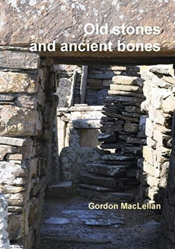 Old Stones and Ancient Bones av Gordon MacLellan (Paperback)