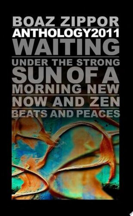 ANTHOLOGY 2011 av BOAZ ZIPPOR (Paperback)