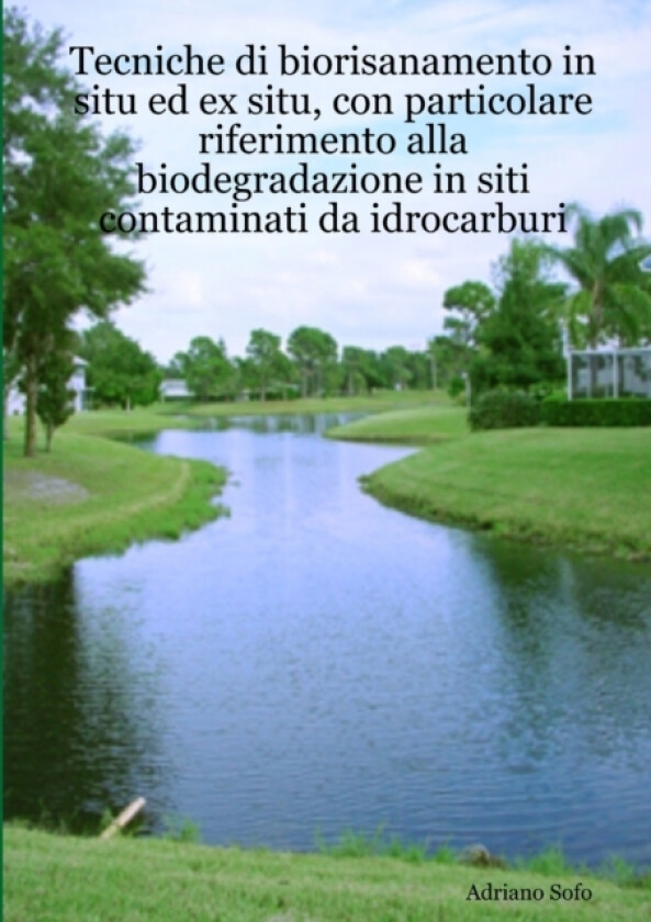 Tecniche di biorisanamento in situ ed ex situ, con particolare riferimento alla biodegradazione in siti contaminati da idrocarburi av Adriano Sofo (Paperback)