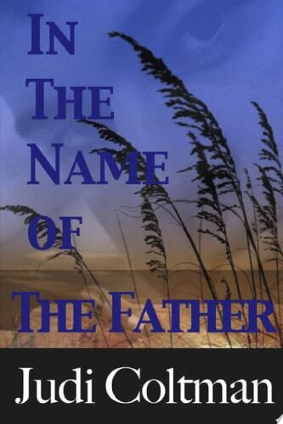 In The Name Of The Father av Judi Coltman (Paperback)