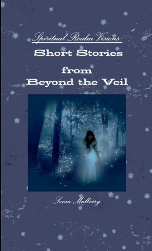 Spiritual Realm Visions: Looking Beyond the Veil av Sonia Mulberry (Paperback)