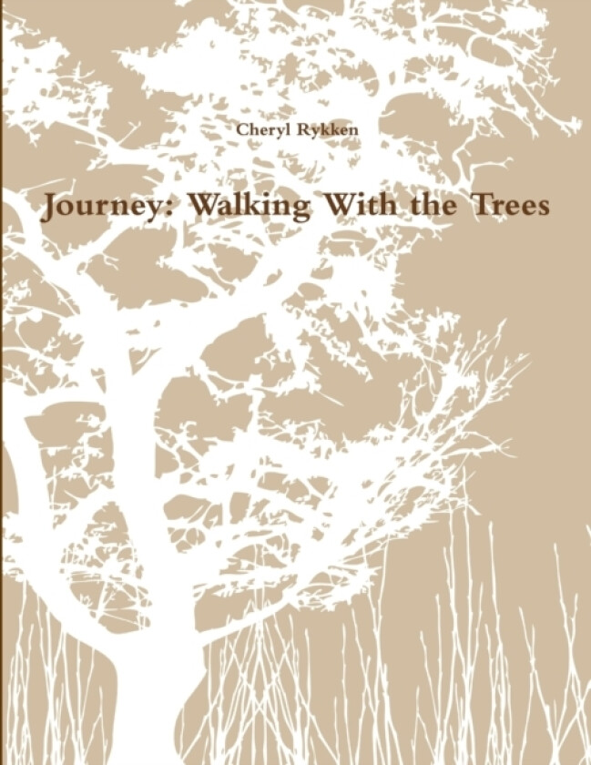 Journey av Cheryl Rykken (Paperback)