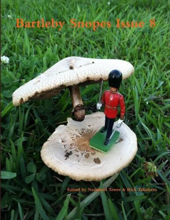 Bartleby Snopes Issue 8 av Nathaniel Tower, Rick Taliaferro (Paperback)