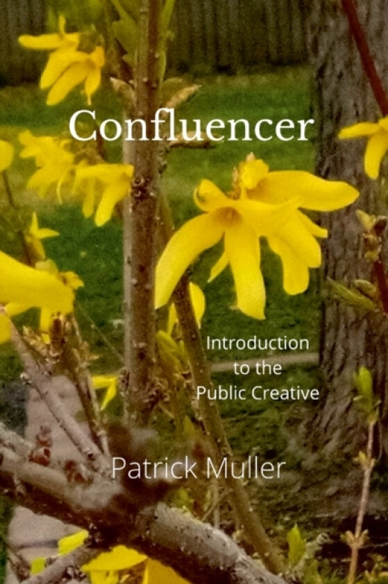 Confluencer av Patrick Muller (Paperback)