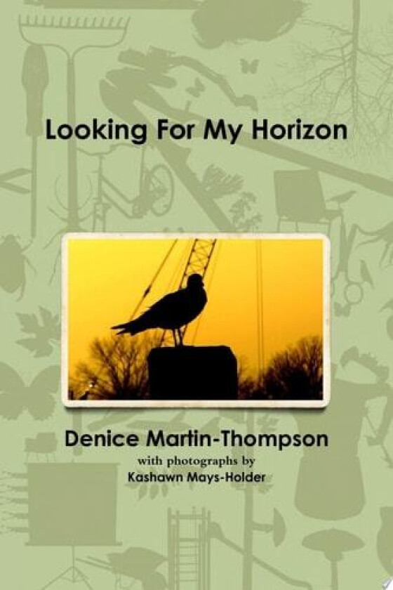 Looking For My Horizon av Denice Martin-Thompson (Paperback)