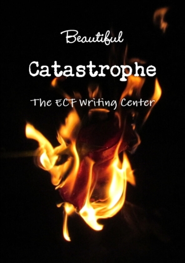 Beautiful Catastrophe av The ECF Writing Center (Paperback)