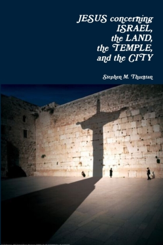Jesus Concerning Israel, the Land, the Temple, and the City av Stephen Thurstan (Paperback)