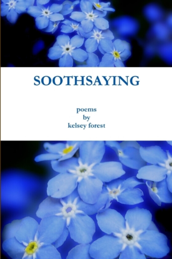 Soothsaying av Kelsey Forest (Paperback)