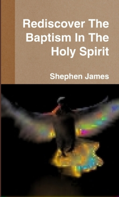 Rediscover The Baptism In The Holy Spirit av Shephen James Aka Daniel Harris (Paperback)