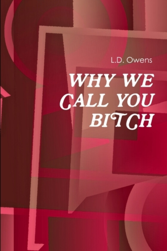 Why We Call You Bitch av L D Owens (Paperback)