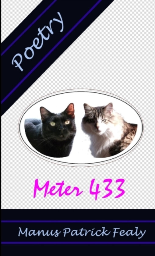 Meter 433: Poetry av Manus Patrick Fealy (Paperback)