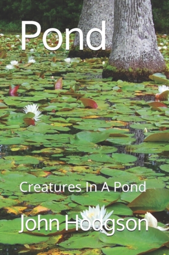 Pond av John Hodgson (Paperback)