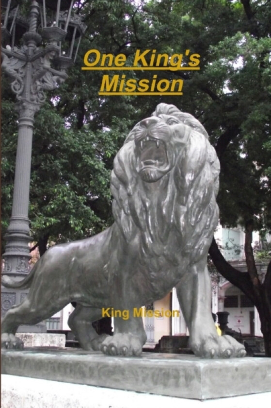 One King's Mission av King Mission (Paperback)