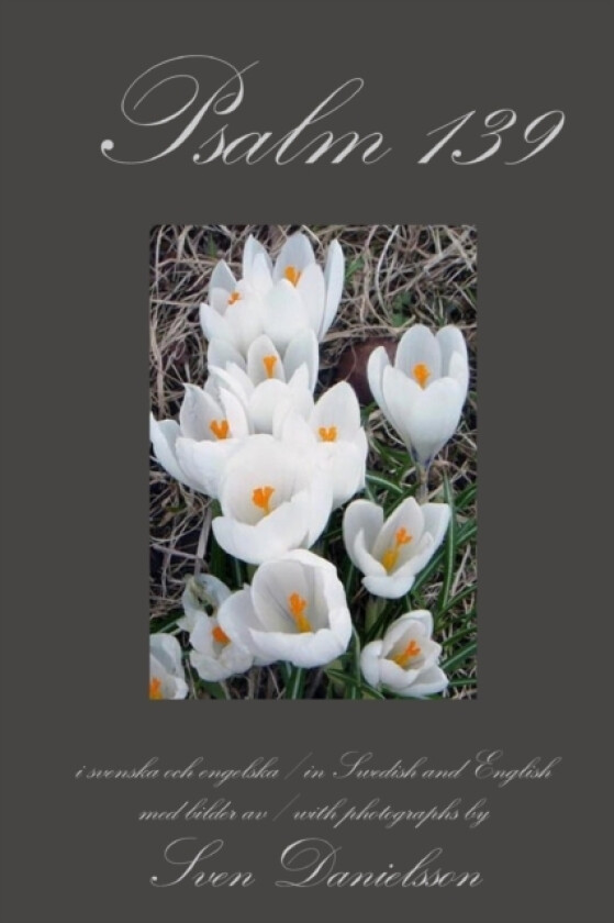Psalm 139, I Svenska Och Engelska, in Swedish and English av Sven Danielsson (Paperback)