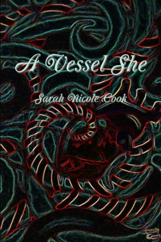 A Vessel She av Sarah Cook (Paperback)