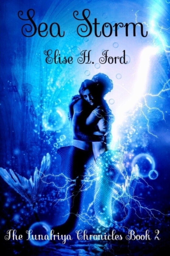 Sea Storm av Elise H Ford (Paperback)