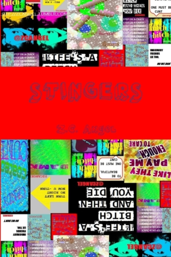 Stingers av Z.C. Angel (Paperback)