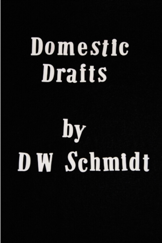 Domestic Drafts av D.W. Schmidt (Paperback)