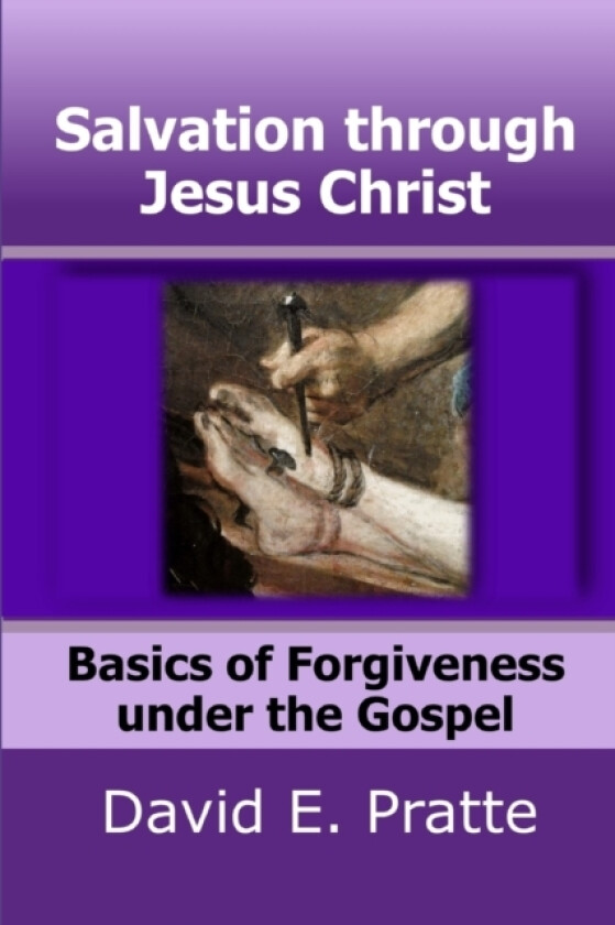 Salvation through Jesus Christ av David E Pratte (Paperback)