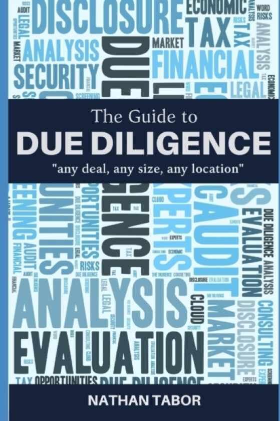 The Guide to Due Diligence av Nathan Tabor (Paperback)