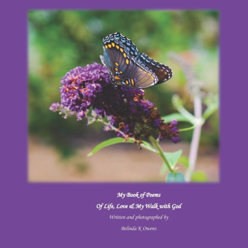 My Book of Poems Of Life, Love & My Walk with God av Belinda K Owens (Paperback)