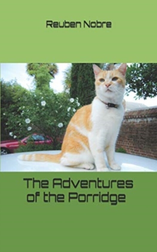The Adventures of the Porridge av Reuben Nobre (Paperback)