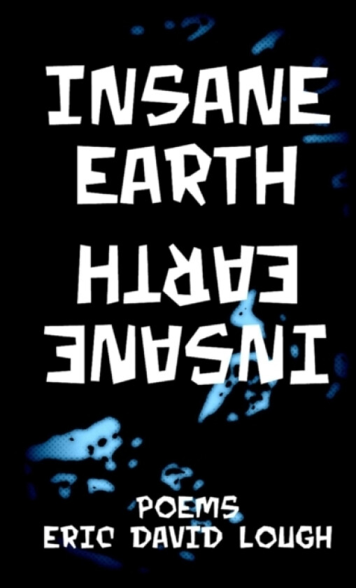 Insane Earth av Eric David Lough (Paperback)
