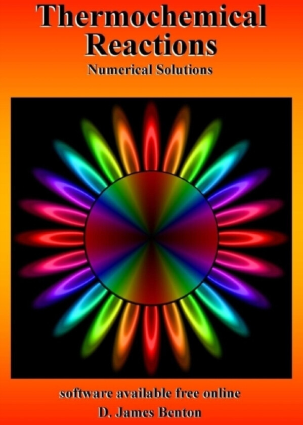 Thermochemical Reactions av D James Benton (Paperback)