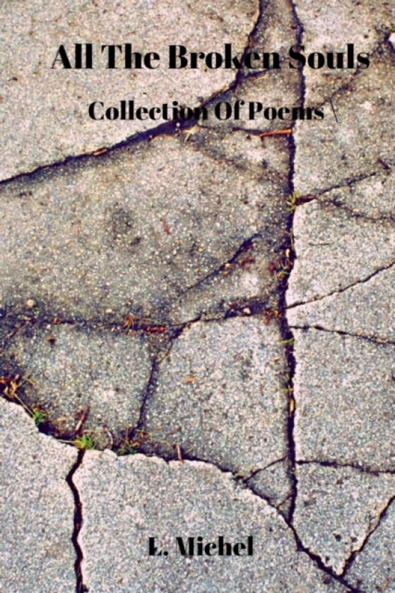 All The Broken Souls av L Michel (Paperback)