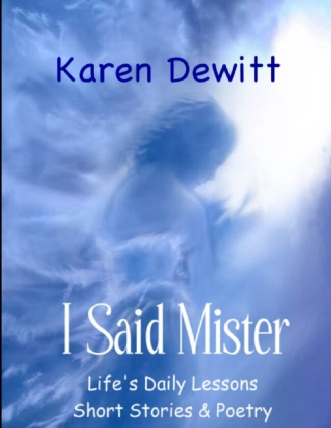 I Said Mister av Karen DeWitt (Paperback)